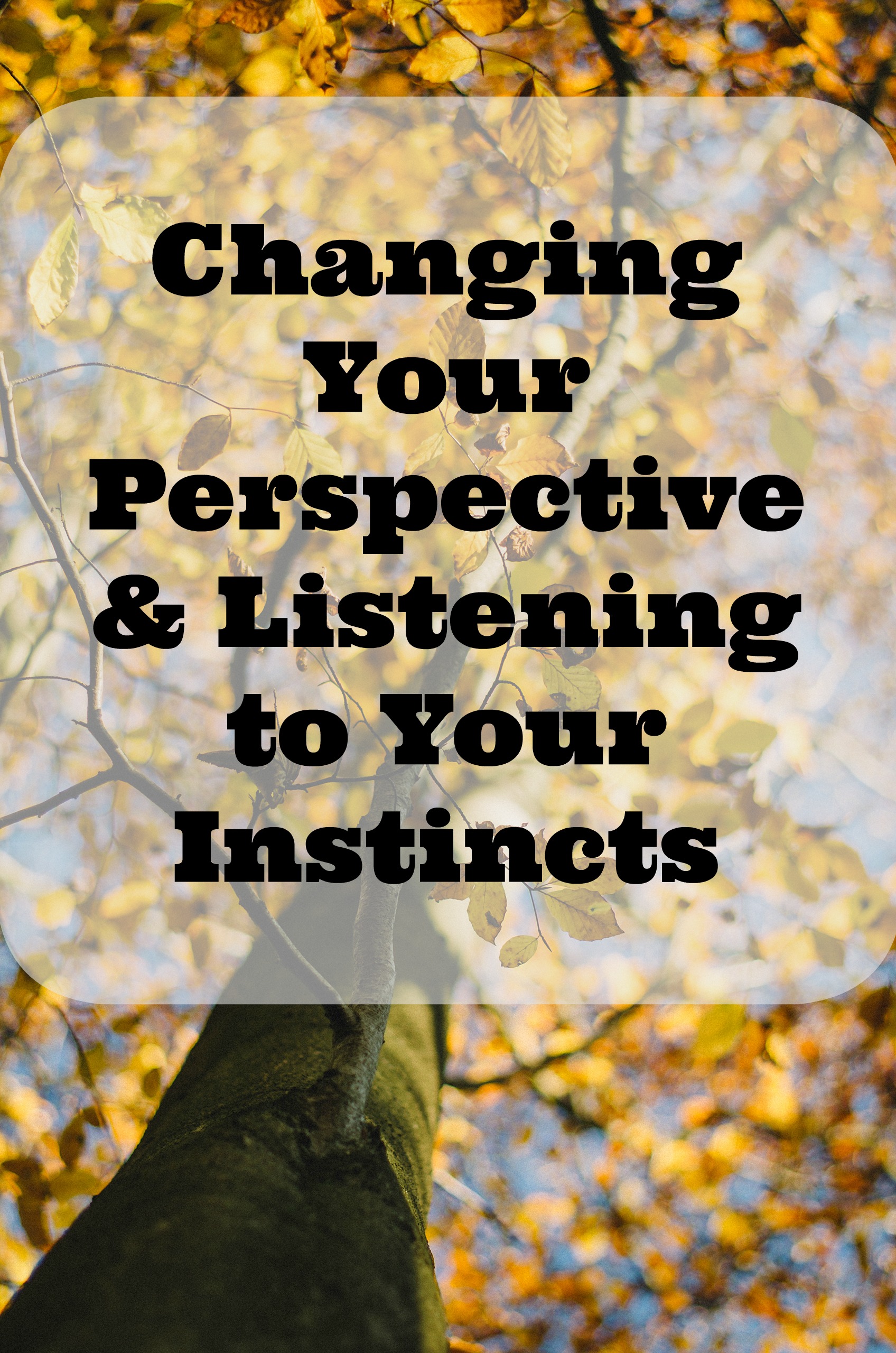 Changing Your Perspective & Listening to Your Instincts from Lauren Kelly Nutrition