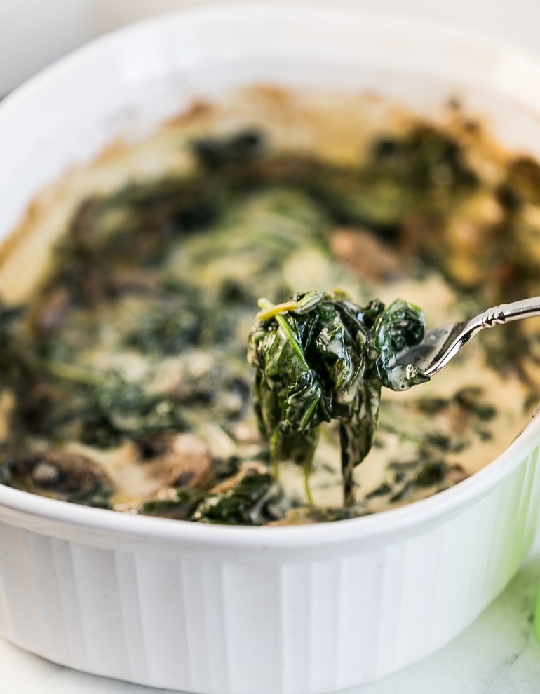 Close up picture of creamy spinach and mushroom gratin on a fork in front of gratin in white baking dish.